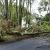 Brookneal Storm Damage Cleanup by Carolina Tree Service